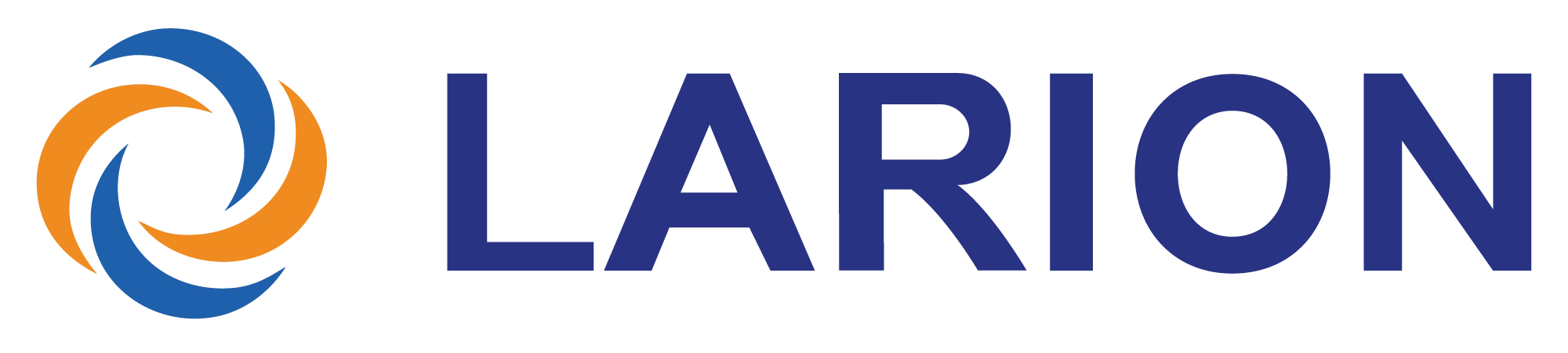 LARION_Top Custom Mobile App Development Companies in Vietnam 